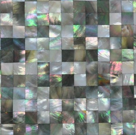 Мозаика Blacklip MOP Shel 10*10 серия Морской перламутр