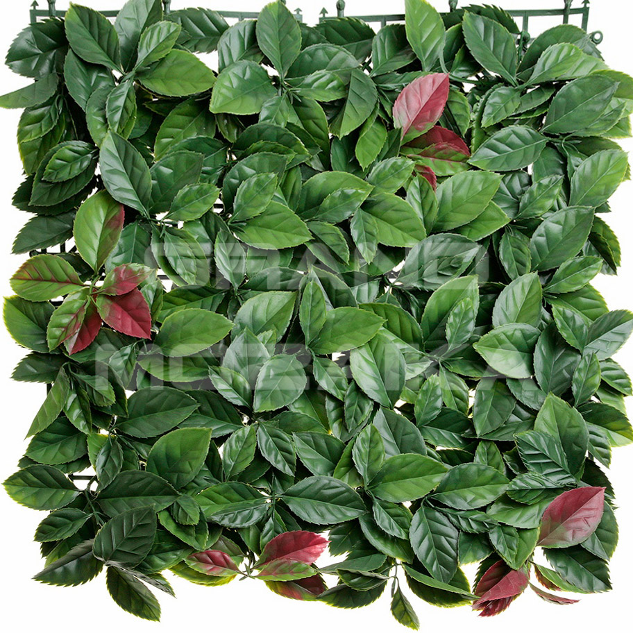 Трава 052285 MZCGZ-06071/MZ188002A серия Grass