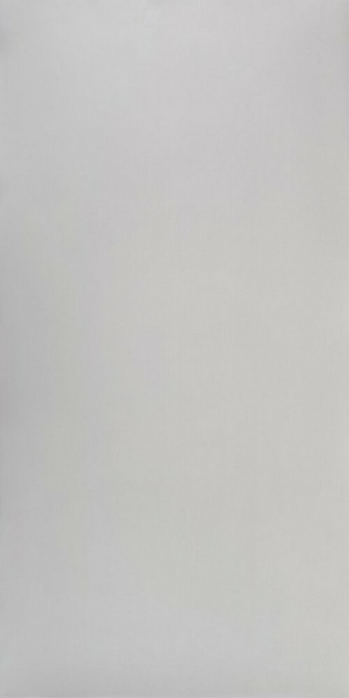 Плитка Studio Light grey polish 60*120 серия Porcelain Tile Stone